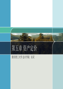 第五章_资产定价