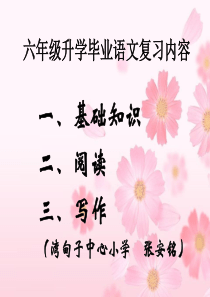 小学六年级语文毕业总复习
