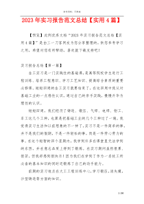 2023年实习报告范文总结【实用4篇】