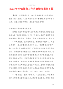2023年乡镇保密工作自查情况报告5篇