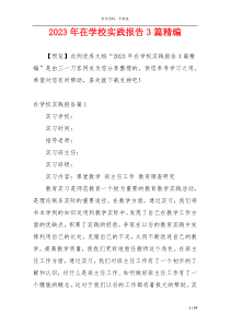 2023年在学校实践报告3篇精编