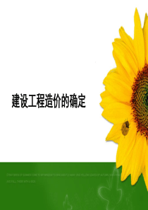 投资预算确定