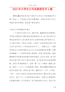 2023年大学生公司实践报告字4篇