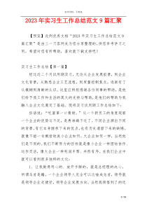 2023年实习生工作总结范文9篇汇聚