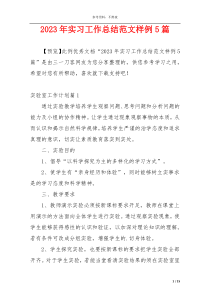 2023年实习工作总结范文样例5篇