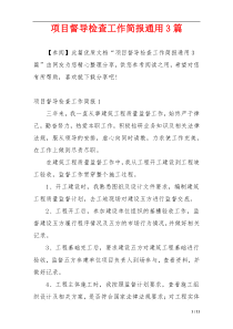 项目督导检查工作简报通用3篇