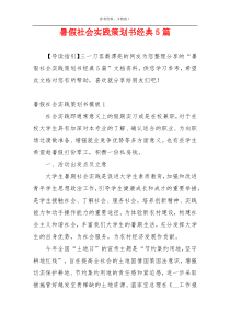 暑假社会实践策划书经典5篇
