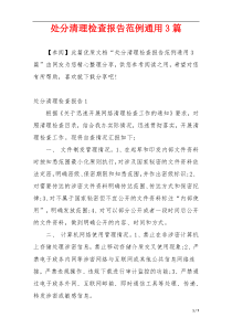 处分清理检查报告范例通用3篇