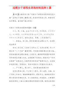 巡察办干部现实表现材料范例5篇