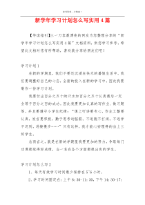 新学年学习计划怎么写实用4篇