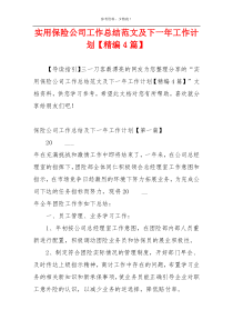 实用保险公司工作总结范文及下一年工作计划【精编4篇】