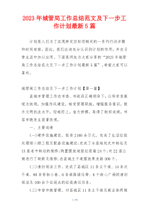 2023年城管局工作总结范文及下一步工作计划最新5篇