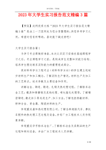 2023年大学生实习报告范文精编3篇