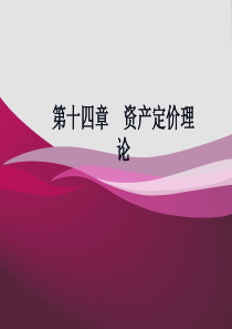 第十四章 资本资产定价理论和套利定价模型
