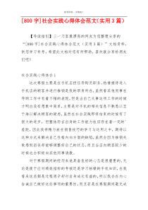 [800字]社会实践心得体会范文（实用3篇）