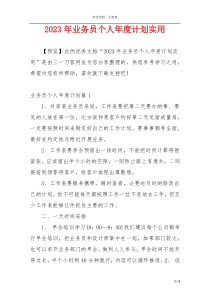 2023年业务员个人年度计划实用