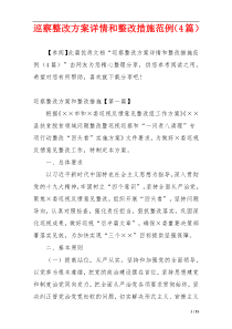 巡察整改方案详情和整改措施范例（4篇）