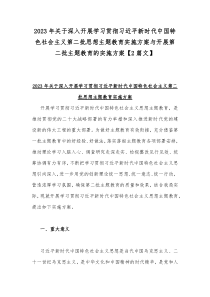 2023年关于深入开展学习贯彻习近平新时代中国特色社会主义第二批思想主题教育实施方案与开展第二批