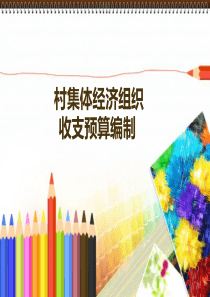 村集体经济组织预算编制(制作陈涛)