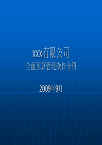 某公司全面预算介绍
