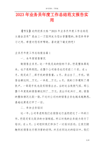 2023年业务员年度工作总结范文报告实用