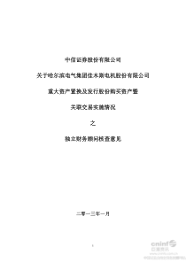 股份购买资产暨关联交易实施情况之独立财务顾问核查