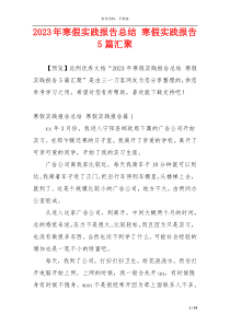 2023年寒假实践报告总结 寒假实践报告5篇汇聚