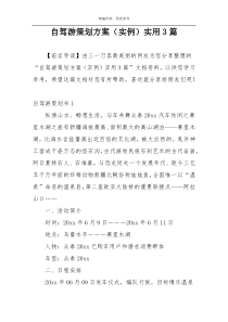 自驾游策划方案（实例）实用3篇
