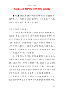 2023年导游的实训总结报告精编