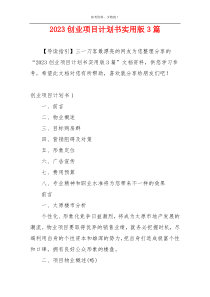 2023创业项目计划书实用版3篇