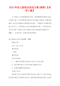 2023年幼儿园班会活动方案(案例)【实用4篇】