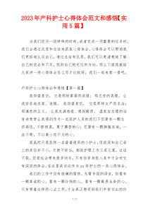 2023年产科护士心得体会范文和感悟【实用5篇】