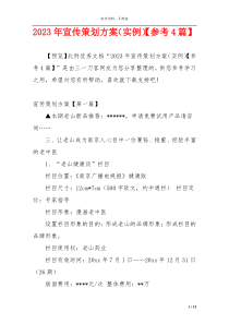 2023年宣传策划方案（实例）【参考4篇】