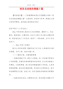 财务总结报告精编3篇