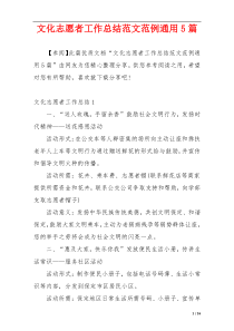 文化志愿者工作总结范文范例通用5篇