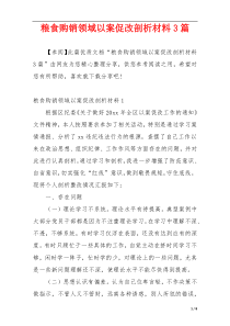 粮食购销领域以案促改剖析材料3篇