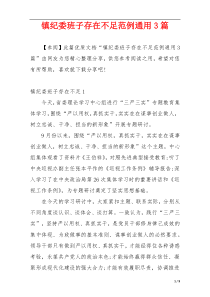 镇纪委班子存在不足范例通用3篇