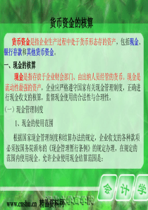 货币资金的核算(ppt338)