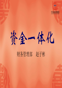 资金一体化
