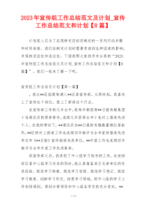 2023年宣传组工作总结范文及计划_宣传工作总结范文和计划【8篇】