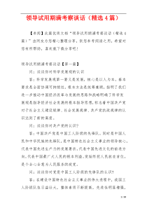 领导试用期满考察谈话（精选4篇）