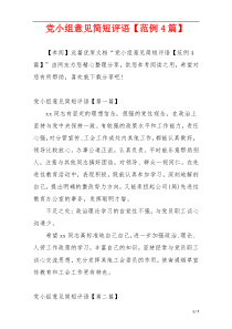 党小组意见简短评语【范例4篇】