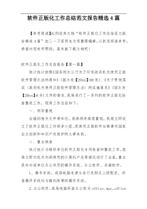 软件正版化工作总结范文报告精选4篇
