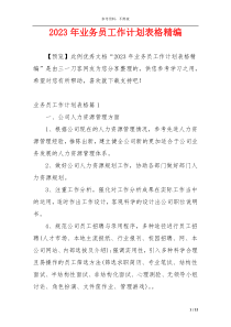 2023年业务员工作计划表格精编