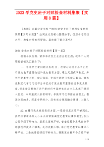2023学党史班子对照检查材料集聚【实用8篇】