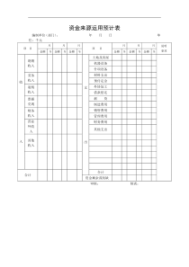 资金来源运用预计表