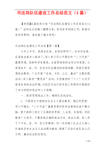司法局队伍建设工作总结范文（4篇）
