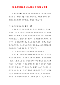 回头看组织生活会报告【精编4篇】