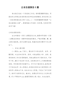 公安自查报告5篇