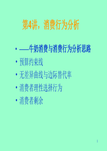 消费行为分析-预算约束线